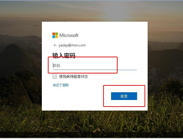怎么登录msn?