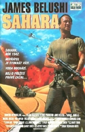 撒哈拉沙漠阻击战的剧情简介