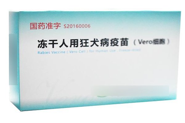 冻干人是什么意思?