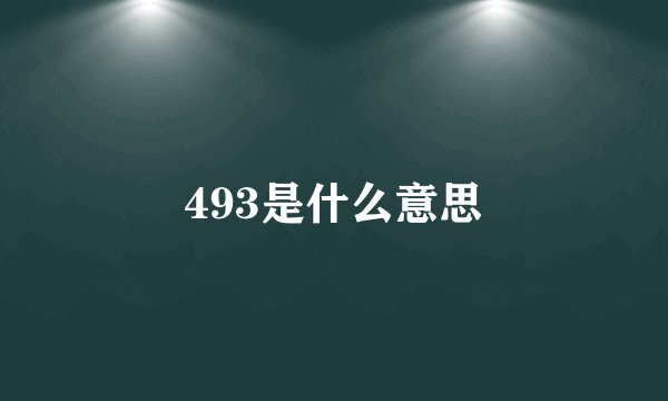 493是什么意思