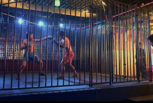 八角笼中亏了还是赚了