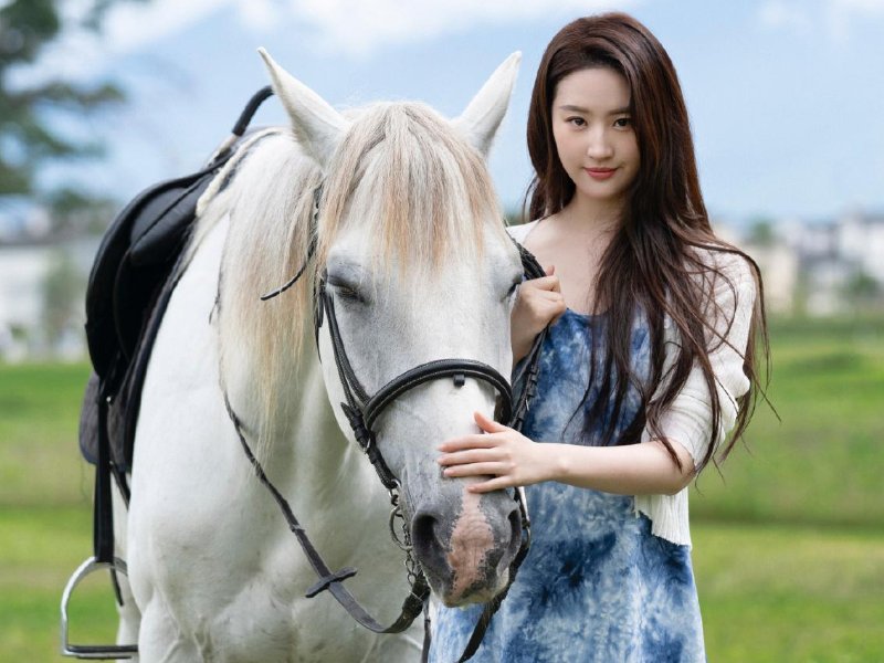 2024电视剧上映时间表