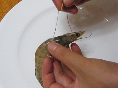 网络挑虾线是什么意思？