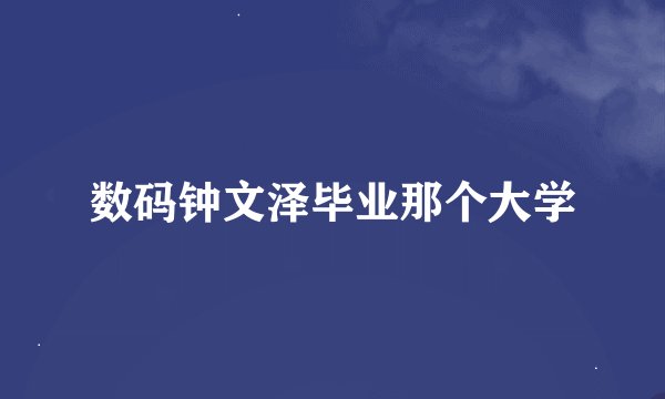数码钟文泽毕业那个大学