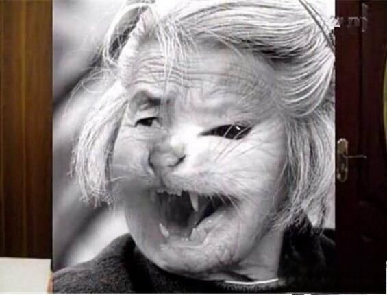 猫脸老太太真实事件 吃小孩肉恐怖照片长什么样