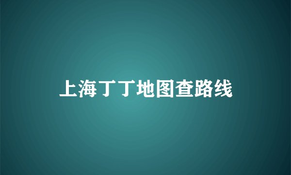上海丁丁地图查路线
