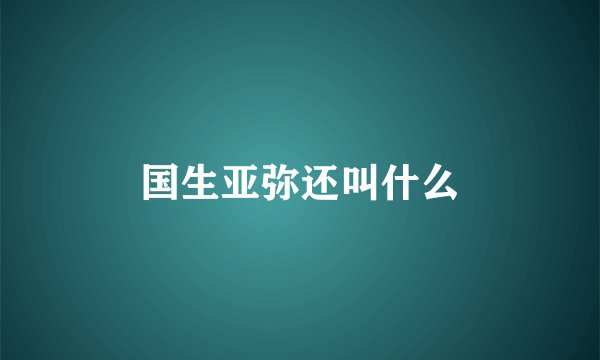 国生亚弥还叫什么