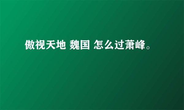 傲视天地 魏国 怎么过萧峰。