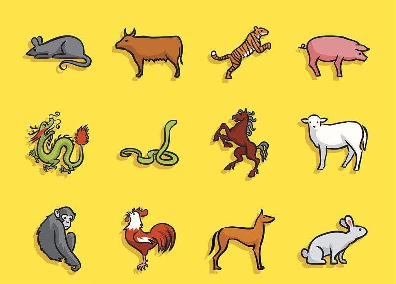 一眼关七打一动物生肖