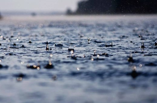 黑雨是什么意思