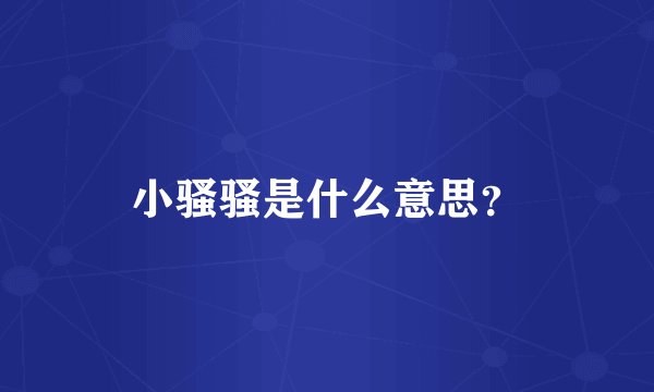 小骚骚是什么意思？