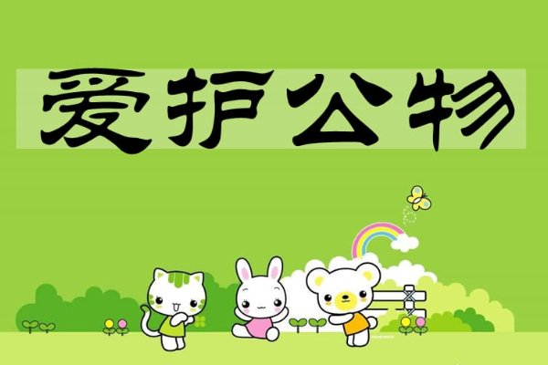 社会公德的主要内容包括