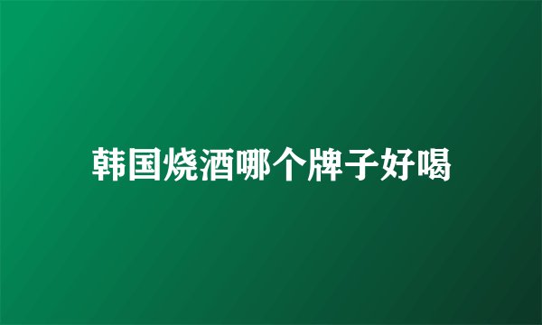 韩国烧酒哪个牌子好喝
