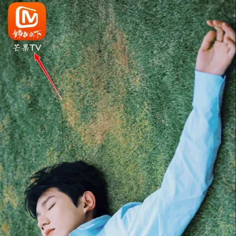 如何收看湖南卫视直播