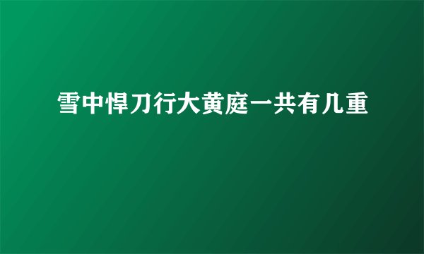 雪中悍刀行大黄庭一共有几重