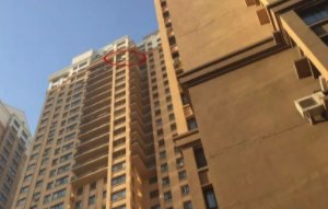 警方通报男子将儿童从29楼扔下，当事人已被控制，他的作案动机是什么？