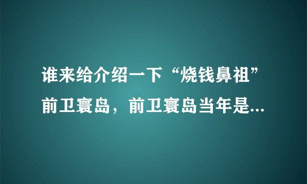 谁来给介绍一下“烧钱鼻祖”前卫寰岛，前卫寰岛当年是什么水平？