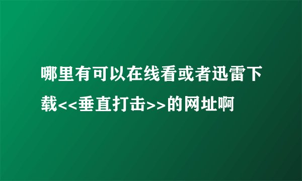 哪里有可以在线看或者迅雷下载<<垂直打击>>的网址啊