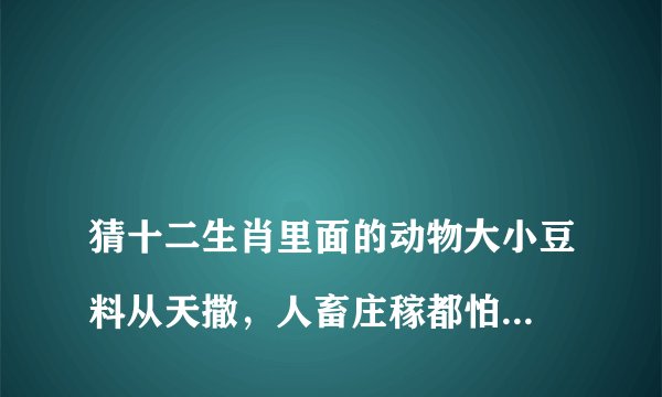 
猜十二生肖里面的动物大小豆料从天撒，人畜庄稼都怕它尽干坏事伤天理，掌握科技征服它


