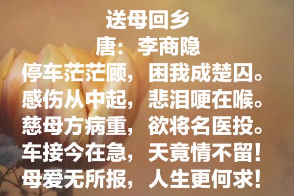 关于母爱的古诗20首