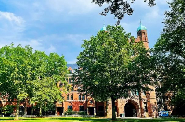 翻云复雨指一生肖