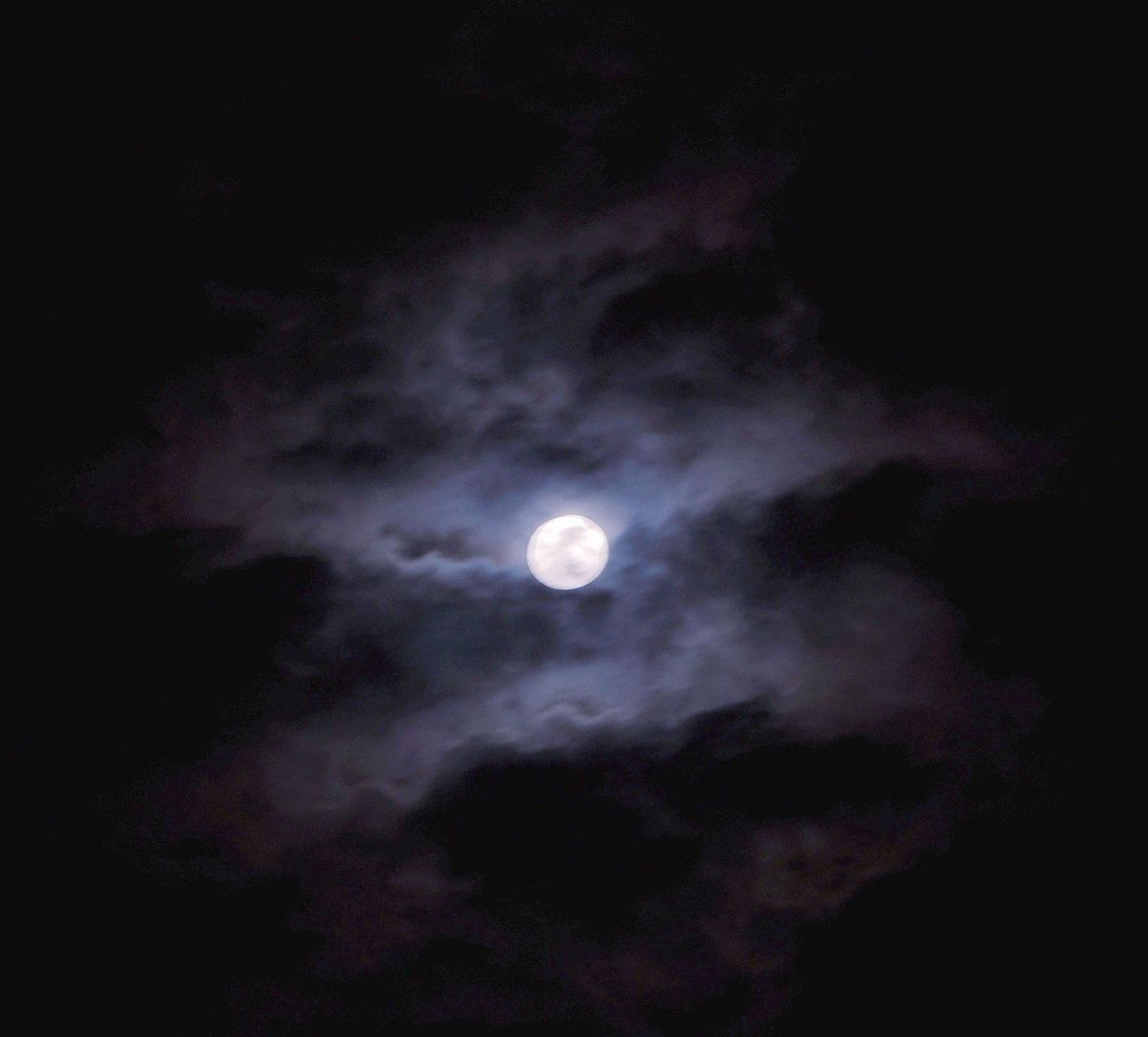 “月黑风高”和“夜黑风高”的区别是什么？