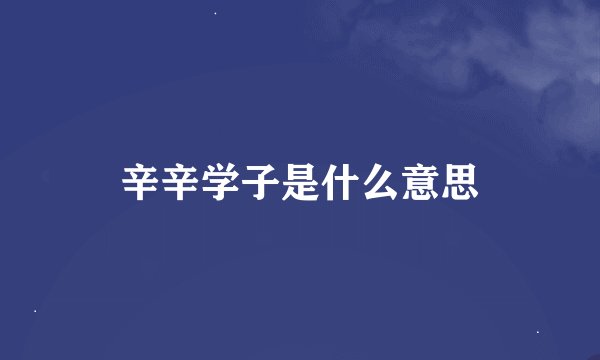 辛辛学子是什么意思
