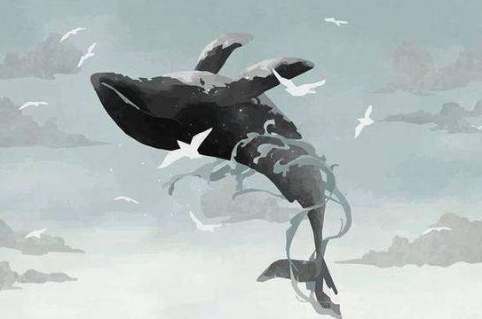 阿阿阿阿是什么歌曲