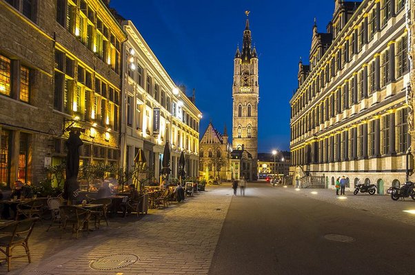 ned是什么意思英语