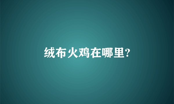 绒布火鸡在哪里?