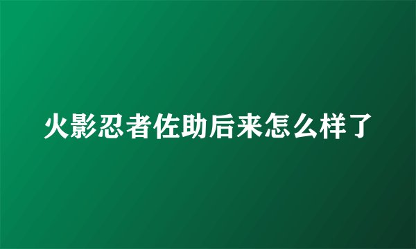 火影忍者佐助后来怎么样了