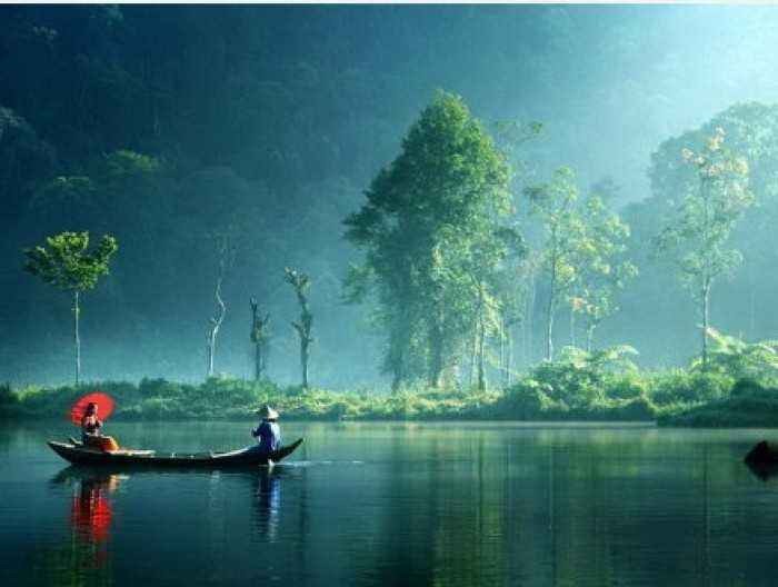 浮华若梦什么意思