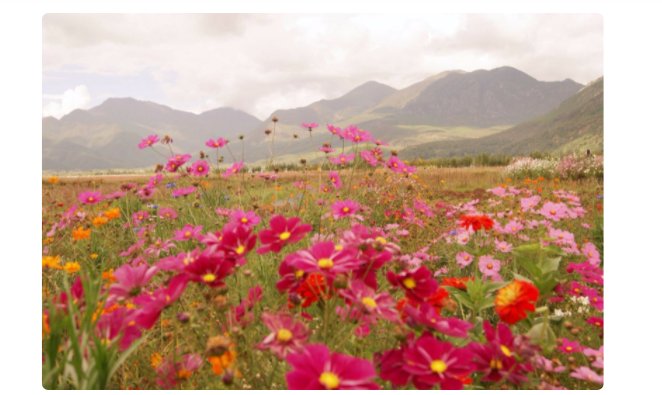 风光无限的意思是什么？