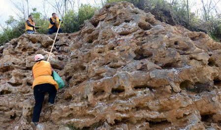 渊薮的意思解释
