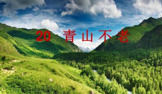 青山不老主要内容是什么