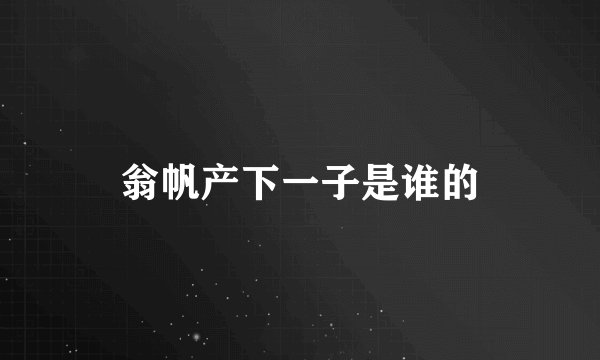 翁帆产下一子是谁的