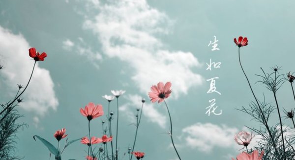 生如夏花之绚烂，死如秋叶之静美.是什么意思