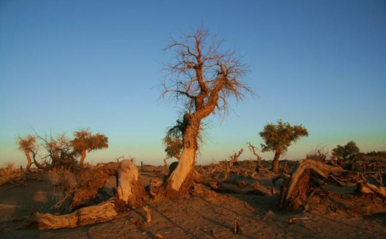 经年累月的近义词