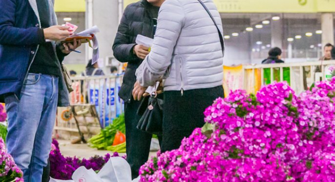 北京花卉市场有哪几家