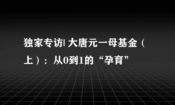 独家专访| 大唐元一母基金（上）：从0到1的“孕育”