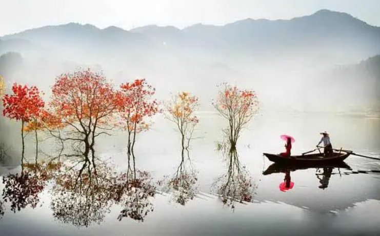 独立寒秋全诗词