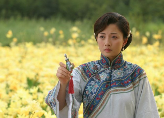 大珍珠剧情介绍分集