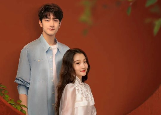 电视剧胡同剧情介绍