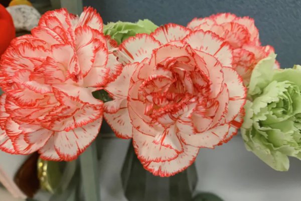 儿子的好朋友给妈妈送什么礼物好呢？