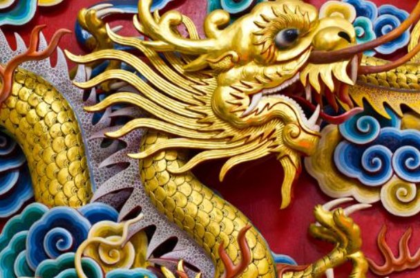 举国上下打一个生肖