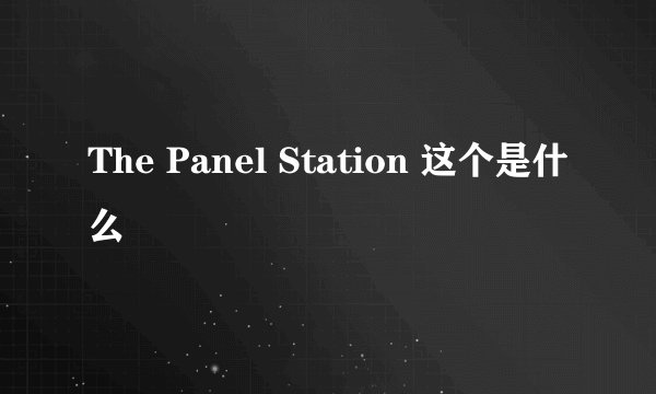 The Panel Station 这个是什么