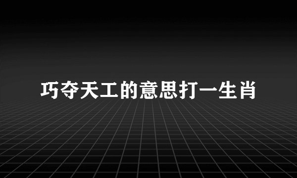 巧夺天工的意思打一生肖