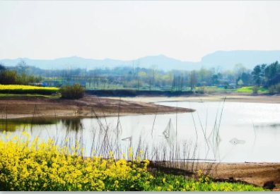 刘禹锡的“尽是刘郎去后栽 前度刘郎今又来”全诗是什么?