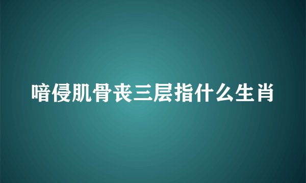 喑侵肌骨丧三层指什么生肖