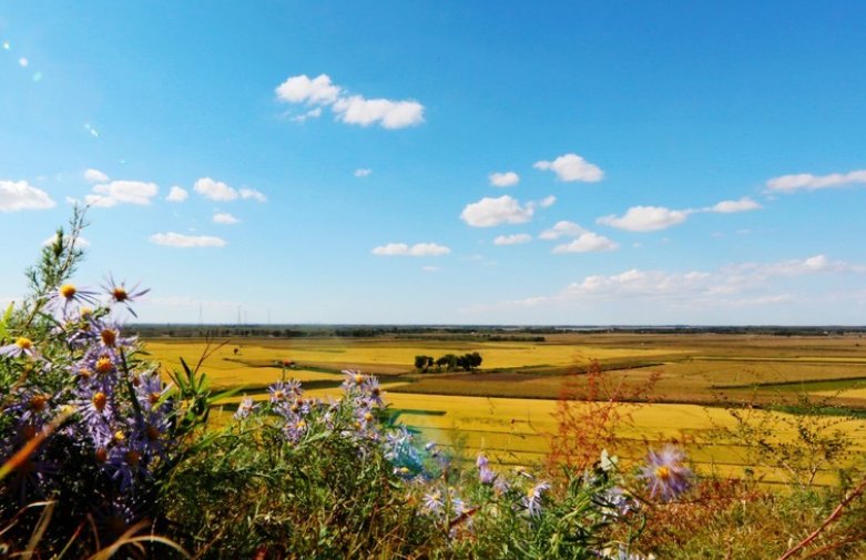 “艳阳天”是什么意思？